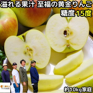  ܖ  10kg 20`40 ƒp 󂠂  NbNXэj񂲉 S 킯  ܂߂ ь \ Y  _  MB 