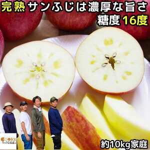   n Tӂ  10kg 20-40 ƒp 󂠂  ₷ NbNXэj񂲉 S 킯   ӂ  \ Y  _ƒ MB 