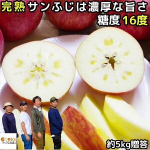   n Tӂ  5kg 10-20 p Ε Mtg  ₷ NbNXэj񂲉 S v[g   ӂ  \ Y  _ƒ MB 