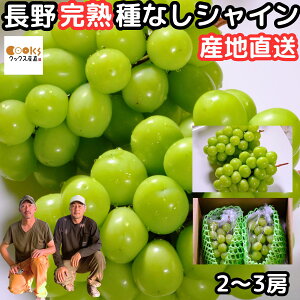 ぶどう シャインマスカット ギフト 種なし 美味しい 大粒 大房 長野 飯綱産 直売 1kg 以上 2〜3房 糖度 産地直送 化粧箱 皮ごと 甘い ブドウ たねなし 旬 フルーツ 葡萄 送料無料 プレゼント 出