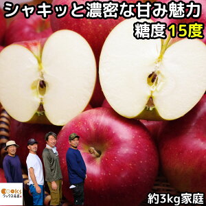  VimXC[g 3kg 6`12 ƒp 󂠂  NbNXэj񂲉 S 킯  VimXB[g ь \ Y  _  MB 