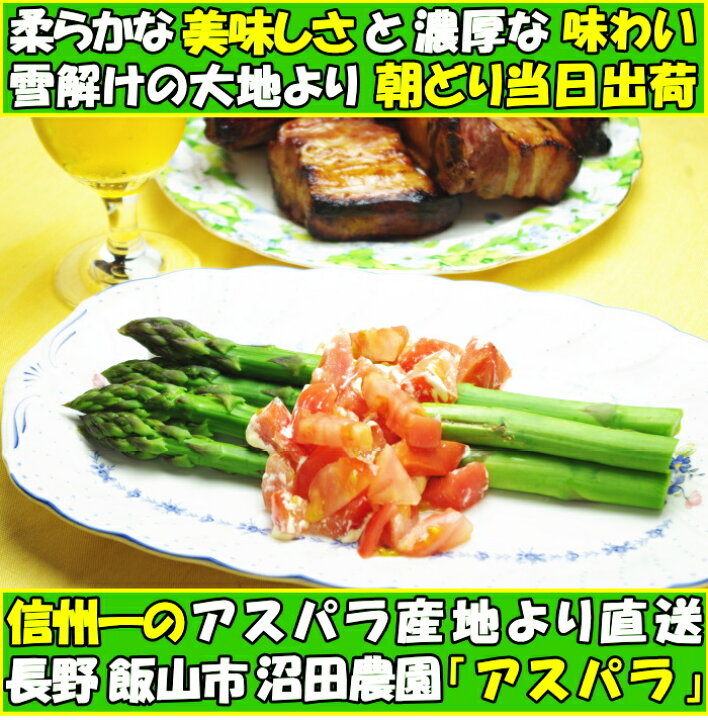 アスパラ 長野 信州 一のアスパラ産地 長野 飯山 沼田さん家 アスパラガス 1kg AB混合 セット 40〜50本 あすぱら 1キロ クックス産直 長野県 信州産 アスパラガス 650g