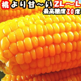 とうもろこし 桃より甘い 生で食べれる 累計190,000本突破 県外不出 甘い 朝採 恵味 長野産 生トウモロコシ 2L〜L サイズ 10〜12本 お中元 食べ物 食品 内祝 御中元 2021 送料無料