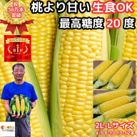 桃より甘い 最高糖度20度 56万本突破 生食OK 長野 信濃町 とうもろこし 2L〜L 4-5本 8-10本 10-12本 A品 …