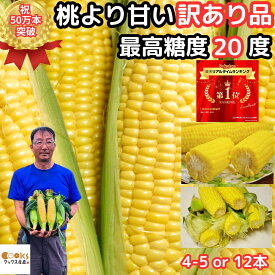 【絶賛出荷中】 とうもろこし わけあり 桃より甘い 2L-L混合 4-5 or 12本 朝採 甘い シリーズ累計50万本突破 県外不出 生で食べれるとうもろこし 恵味 長野 訳アリ トウモロコシ 送料無料 惠味ゴールド 2025