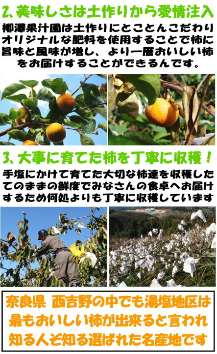 楽天市場】【クーポン50円OFF】 柿 訳あり 種なし柿 7.5kg 30〜40玉+増量2〜3個 奈良 西吉野 柳澤果樹園 たねなし柿 家庭用 送料無料 刀根柿 平種柿 とね柿 ひらたね柿 平核無柿 : クックス産直楽天市場店 楽天市場】【クーポン50円OFF】 柿 訳あり 種なし柿 7.5kg 30〜40玉+増量2〜3個 奈良 西吉野 柳澤果樹園 たねなし柿 家庭用 送料無料 刀根柿 平種柿 とね柿 ひらたね柿 平核無柿 : クックス産直楽天市場店