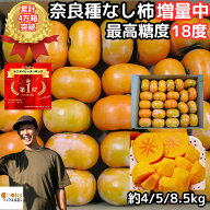 【北海道送料無料】累計4万箱突破 最高糖度18度 柿 訳あり 種なし柿 奈良 西吉野 柳澤果樹園 約4kg 約5kg…
