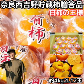 柿 柿の王様 貯蔵 冨有柿 2Lサイズ 4kg前後 12玉 奈良 西吉野 柳澤果樹園 お歳暮 お年賀 ギフト 送料無料