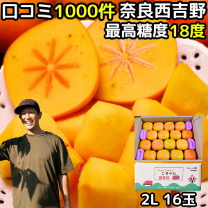 ` Ȃ` 2L TCY 16 4kg ޗ g Vʎ p R~1000 ˂Ȃ` Mtg  햳` ` ` Ƃˊ` Ђ炽ˊ` j`