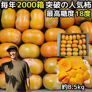 ykCz` 󂠂 Ȃ` 5kg 4kg{1kg 15`25 ޗ g Vʎ ˂Ȃ` ƒp  햳` ` ` Ƃˊ` Ђ炽ˊ` j`