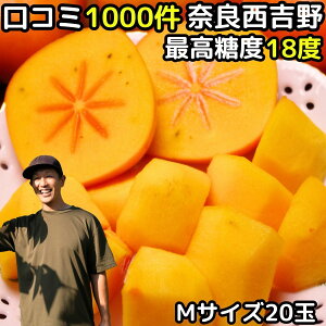 ` Ȃ` M TCY 20 4kg p ޗ g Vʎ R~1000 ˂Ȃ` Mtg  햳` ` ` Ƃˊ` Ђ炽ˊ` j`