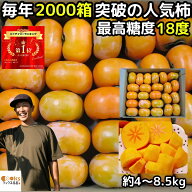 【北海道送料無料】柿 訳あり 種なし柿 約4kg 約5kg 15〜25玉 約8.5kg 奈良 西吉野 柳澤果樹園 たねなし…
