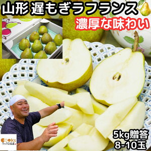 tX R` 5kg Ε Mtg p x m  Â x16`17x S̉w엿Eܕsgp R` c_ miV 5kg 2l`4l TCY 14`18 ӂ