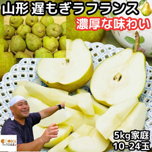 tX 󂠂 5kg R` x m x16`17x S̉w엿Eܕsgp R` c_ miV 5kg 10`24 A ƒp s