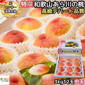 �� ������ ���� �M�t�g �a�̎R ���P ���� �����̓� ���G 3kg 12�� ���� �����f�p�[�g�i�� ���炩��̓� JA�I�̗��������ʃZ���^�[���� �r��̓� �\�� �t���[�c �ʕ� �䒆�� �������� 2026 �\��