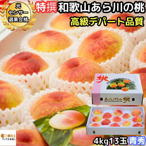 �� ������ ���� �M�t�g �a�̎R ���P ���� �����̓� 4kg 13�� ��� �G �����f�p�[�g�i�� ���炩��̓� JA�I�̗��������ʃZ���^�[���� �r��̓� �e�������p �\�� �t���[�c �ʕ� �䒆�� ������