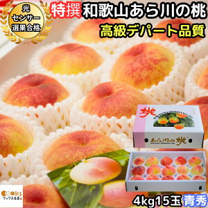 �� ������ ���� �M�t�g �a�̎R ���P ���� �����̓� 4kg 15�� ���� �G �����f�p�[�g�i�� ���炩��̓� JA�I�̗��������ʃZ���^�[���� �r��̓� �e�������p �\�� �t���[�c �ʕ� �䒆�� ������