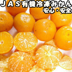 冷凍みかん みかんの人気商品 通販 価格比較 価格 Com 冷凍みかん みかんの人気商品 通販 価格比較 価格 Com