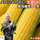 とうもろこし 北海道 2L〜L サイズ 4〜5本 10本入 メロンより甘い 朝どれ 生で食べれる トウモロコシ 平均糖度18度 夢のコーン わくわくコーン 北海道 士別 三栄アグリ 送料無料