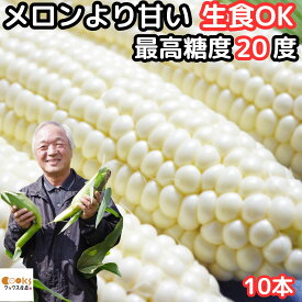 とうもろこし 北海道 白 ホワイトコーン 4〜5本 10本入 メロンより甘い 生で食べれる トウモロコシ ホワイトショコラ 平均糖度18度 北海道 士別 三栄アグリ 送料無料