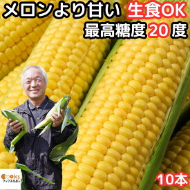 とうもろこし 北海道 2L〜L サイズ 4〜5本 10本入 メロンより甘い 朝どれ 生で食べれる トウモロコシ 平均糖度18度 夢のコーン わくわくコーン 北海道 士別 三栄アグリ 送料無料