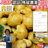 生姜 貯蔵 黄金生姜 囲い生姜 生 1kg 2kg 4kg 国産 長崎 島原 JGAP取得 人作 無添加 根生姜 ひね生姜 古…