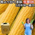 そのまま食べてもサラダやスープにも！糖度が高くて美味しいトウモロコシを教えて！