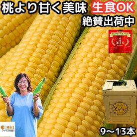 【出荷中】 とうもろこし 生で食べれる 甘い 5月中旬 9～13本 3L～L 朝どれ 長崎産 島原産 松本農園 生トウモロコシ 糖度 食べ物 食品 内祝 父の日 2024 送料無料 ゴールドラッシュ おおもの 黄色 5月 6月 出荷 とうもろこしゴールドラッシュ