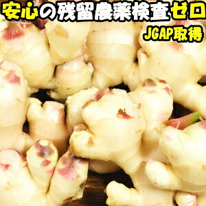 佃煮の人気商品 通販 価格比較 価格 Com