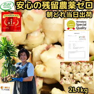 【絶賛出荷中】 安心の残留農薬ゼロ 生姜 新生姜 直送 1kg 2Lサイズ 国産 長崎 島原 JGAP取得 松本農園 …