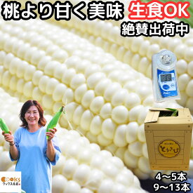とうもろこし おおもの ホワイト 桃より甘い 白いトウモロコシ 長崎 島原 松本農園 甘い 生食OK 3L〜L 9〜13本 白 朝どれ 生 糖度 プレゼント ギフト 食べ物 食品 内祝 父の日 御中元 2026 送料無料 5月 6月 出荷