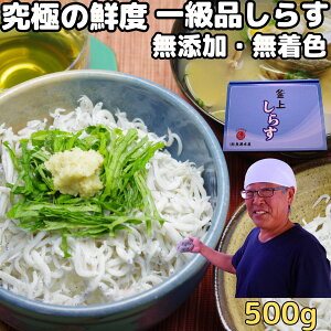 炷 g Ⓚ Y Mtg 䒆 p VRgp 500g F 1i ɂ̑Nx a̎R Cl Y  g炷 VX `h Mtg v[g ̔ zB 