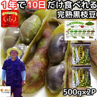 枝豆 黒枝豆 丹波篠山 大粒 丹波 黒大豆 黒豆 予約 完熟 えだまめ 美味しい 1kg 500g×2袋入 レシピ付 兵…