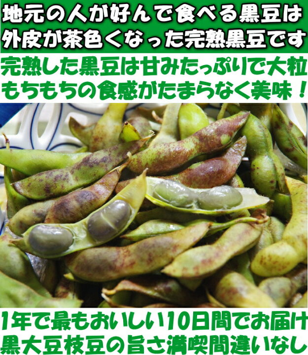 楽天市場】枝豆 黒枝豆 丹波篠山 大粒 丹波 黒大豆 黒豆 予約 完熟 