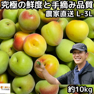 �~ �썂�~ 10kg L�`3L �T�C�Y �~�����p ���� �~��p �E�� 10�L�� �ޗ� ���V�ʎ��� ��E�� �Ȃ񂱂��΂� �����p �ɂ��œK �i���R�E�o�C ���~