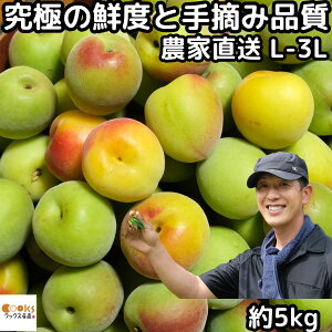 �~ �썂�~ 5kg L�`3L �T�C�Y �~�����p ���� �~��p �E�� 5�L�� �ޗ� ���V�ʎ��� ��E�� �Ȃ񂱂��΂� �i���R�E�o�C ���~