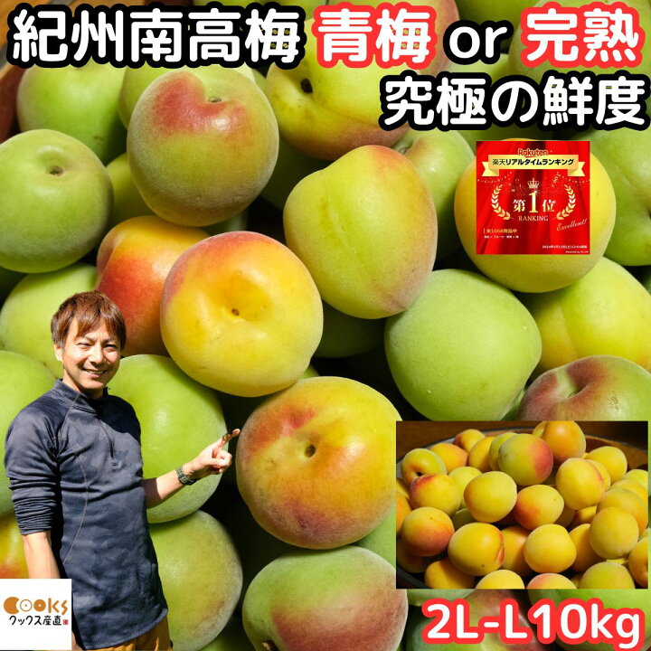 楽天市場】梅 南高梅 熟 梅干し用 完熟 10kg 2L～3L 手摘み品質 生梅 