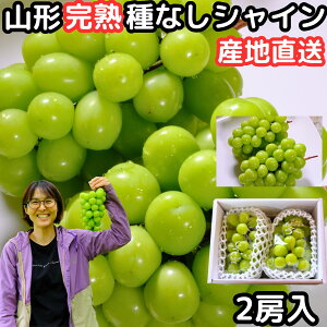 Ԃǂ VC}XJbg Mtg Ȃ  嗱 [ Gi p R` قʎ  1kg ȏ 2[ x Yn ϔ 炲 Â uhE ˂Ȃ { t[c  