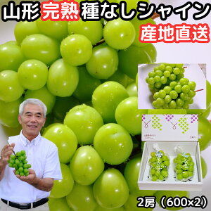Ԃǂ VC}XJbg Mtg Ȃ  嗱 [ Gi p R` _  1.2kg 600g×2[ x Yn ϔ 炲 Â uhE ˂Ȃ { t[c   v