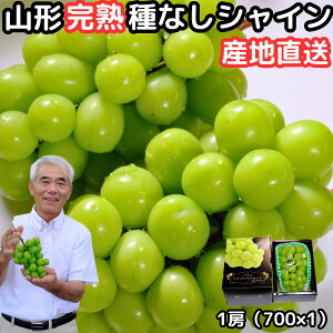 Ԃǂ VC}XJbg Mtg Ȃ  嗱 [ Gi p R` _  700-800g 1[ x Yn ϔ 炲 Â uhE ˂Ȃ { t[c   v