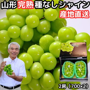 Ԃǂ VC}XJbg Mtg Ȃ  嗱 [ Gi p R` _  1.4kg 2[ x Yn ϔ 炲 Â uhE ˂Ȃ { t[c   v[