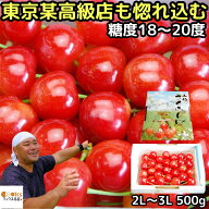 さくらんぼ 紅秀峰 大将錦 お中元 ギフト 500g 2l - 3l 大玉 サイズ プレゼント 送料無料 山形県 寒河江 …