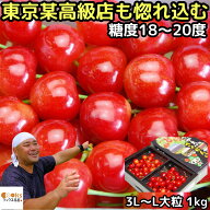 さくらんぼ 1kg l - 2l- 3l お中元 ギフト 大粒 紅秀峰 佐藤錦 大将錦 送料無料 山形県 寒河江 完熟さく…