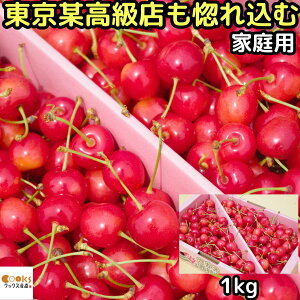 �������� �󂠂� 500g 1kg �ƒ�p ������ �g�G�� �������� �R�` ���͍] �T�N�����{ �킯���� L- M �T�C�Y �����^�����X���F�߂邳������