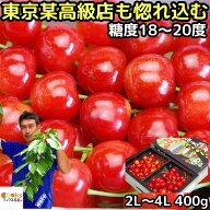 さくらんぼ 紅王 超大玉 2l - 4lサイズ 400g お中元 ギフト べにおう 送料無料 プレゼント 山形県 寒河江…