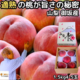 桃 山梨 お中元 ギフト 糖度 甘い 御坂の桃 適熟の桃 特 1.5kg 4-5玉 硬い 贈答用 プレゼント 御中元 お盆 お供え 白桃 白鳳 もも 川中島 モモ 予約 果物 フルーツ 送料無料 2026 みさか