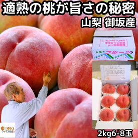 桃 山梨 お中元 ギフト 糖度 甘い 御坂の桃 適熟の桃 特 2kg 6-8玉 硬い 贈答用 プレゼント 御中元 お盆 お供え 白桃 白鳳 川中島 もも モモ 予約 果物 フルーツ 送料無料 2026 みさか