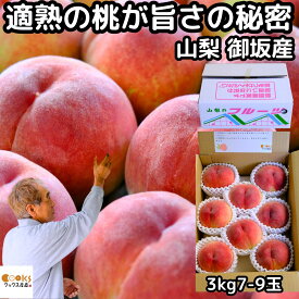 桃 山梨 お中元 ギフト 糖度 甘い 御坂の桃 適熟の桃 特 3kg 7-9玉 硬い 贈答用 プレゼント 御中元 お盆 お供え 白桃 白鳳 川中島 もも モモ 予約 果物 フルーツ 送料無料 2026 みさか