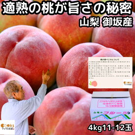 桃 山梨 お中元 ギフト 糖度 甘い 御坂の桃 適熟の桃 特 4kg 11-12玉 硬い 贈答用 プレゼント 御中元 お盆 お供え 白桃 白鳳 川中島 もも モモ 予約 果物 フルーツ 送料無料 2026 みさか