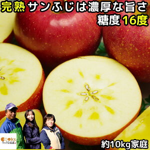  R` n Tӂ  10kg 20-46 ƒp 󂠂  ₷ a ʎ S 킯   ӂ  \ Y R` _ƒ 